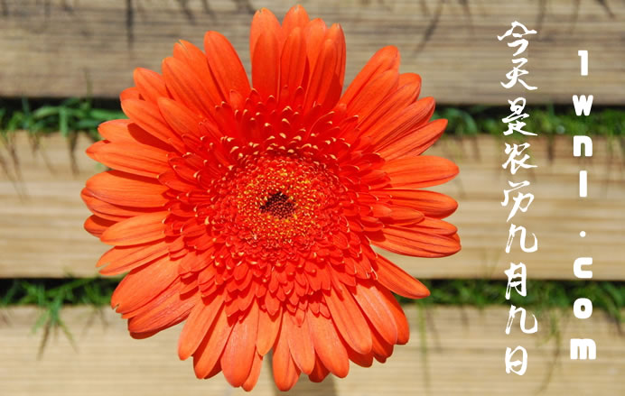 ũ�����켸��