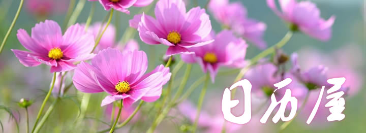 1��������ӡ��