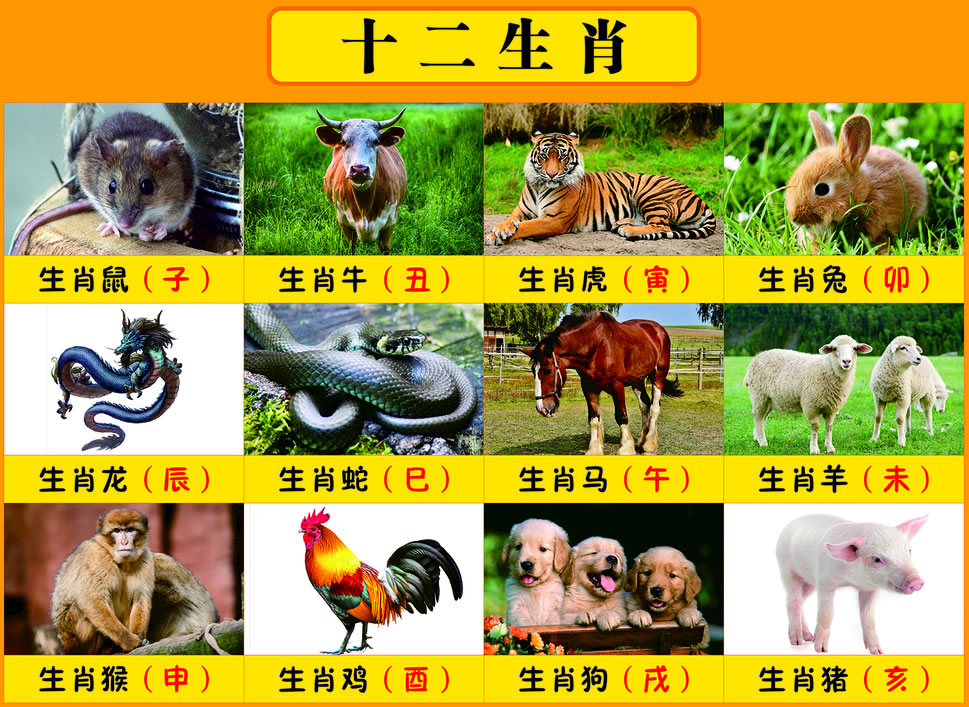 ��Ф�����ȫ